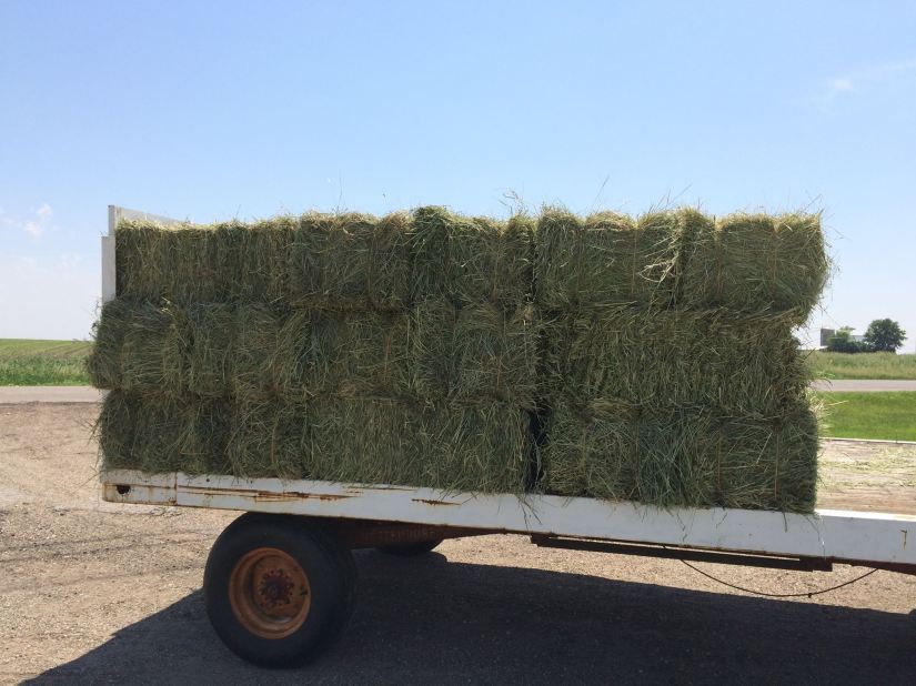 45 bales